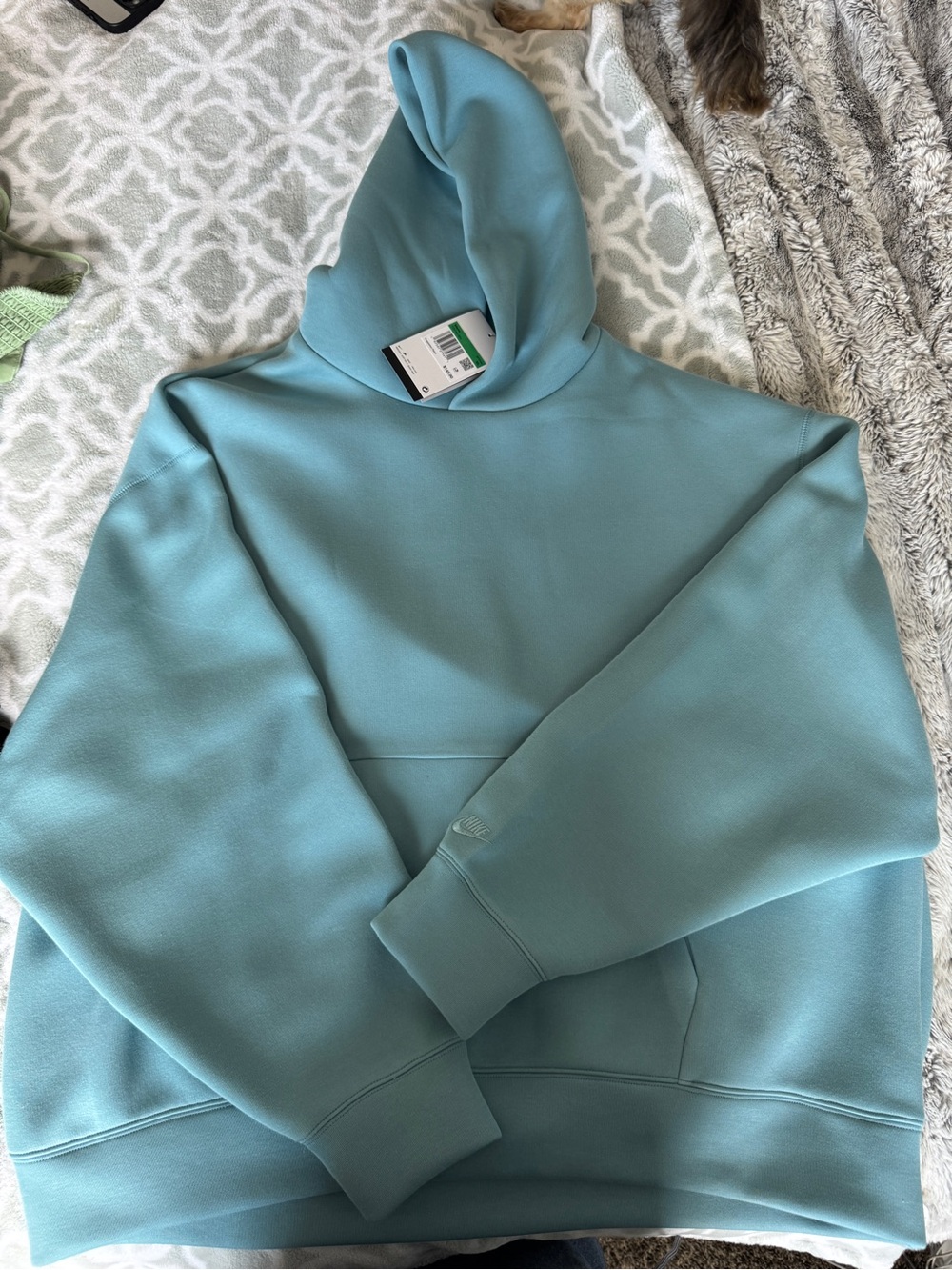 Light Teal Nike Oversized Hoodie